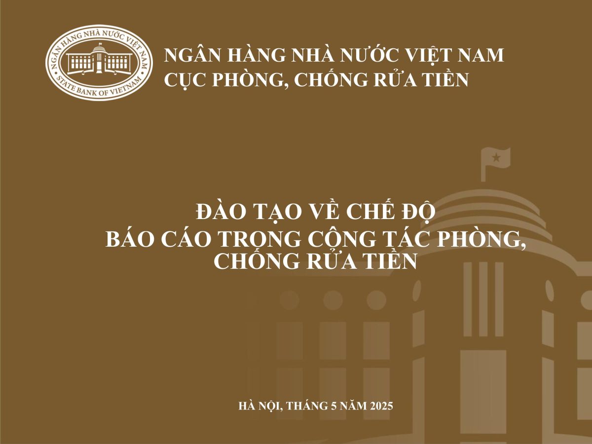 HƯỚNG DẪN THỰC HIỆN NGHĨA VỤ BÁO CÁO VỀ PHÒNG, CHỐNG RỬA TIỀN 